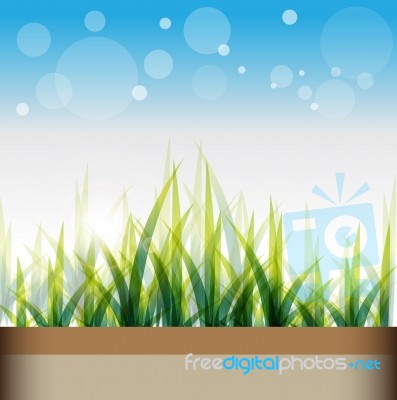 Grass Background Stock Image