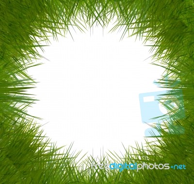 Grass Frame Stock Photo