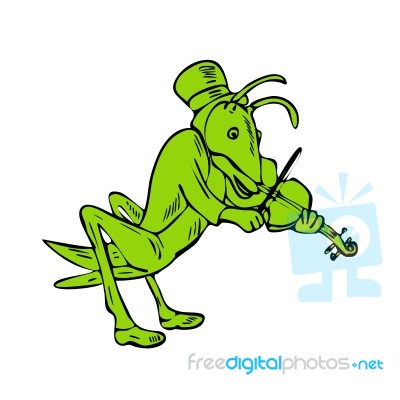 Grasshopper Fiddler Drawing Stock Image