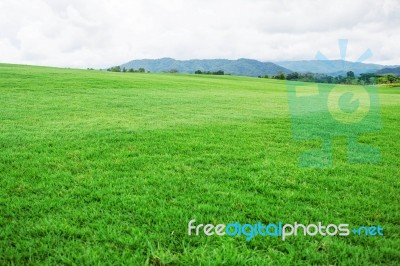 Grassland In The Countryside Stock Photo