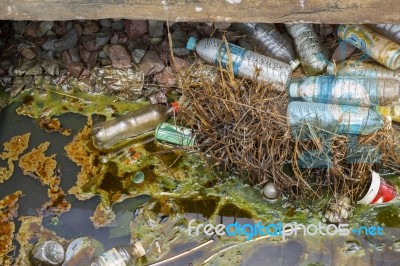 Grease And Garbage In Dirty Water Stock Photo