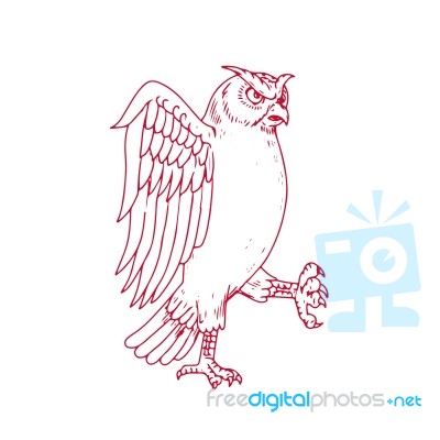 Great Horned Owl Marching Drawing Stock Image