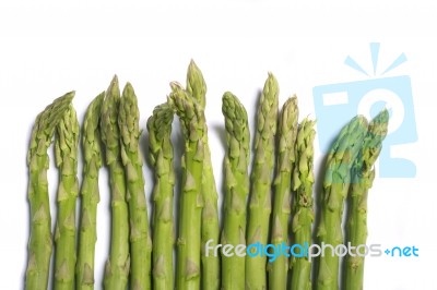 Green Asparagus Stock Photo