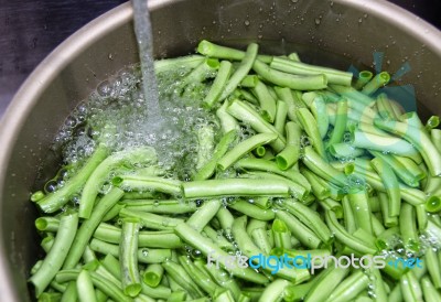 Green Beans In The Pot Stock Photo
