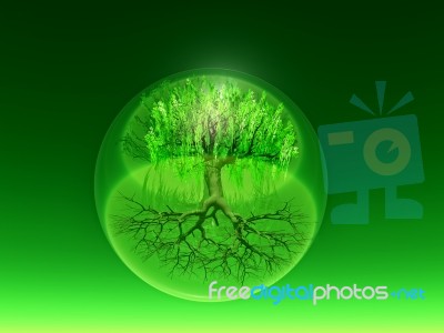 Green Bio Sphere Stock Image
