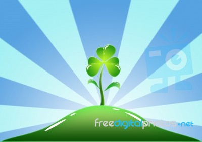 Green Clover Stock Image