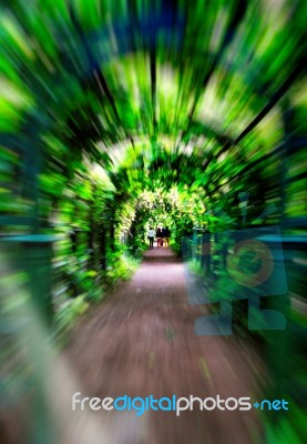Green Corridor Motion Zoom Abstraction Stock Photo