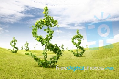 Green Dollars Stock Image
