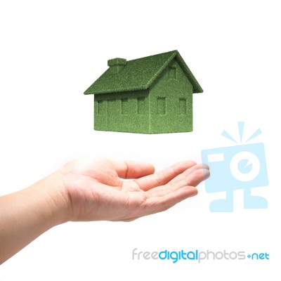 Green Eco House Concept  With Hand Stock Photo