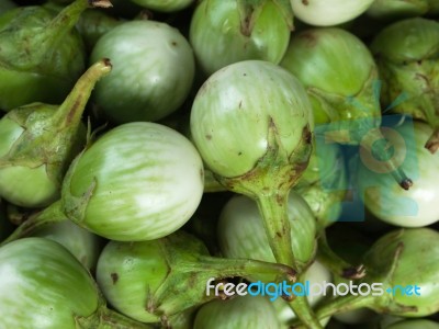Green Eggplants Stock Photo
