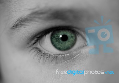 Green Eyed Girl Stock Photo