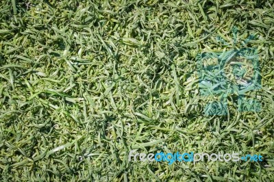 Green Fake Grass Background Stock Photo