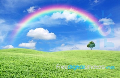 Green Field And Rainbow Stock Photo