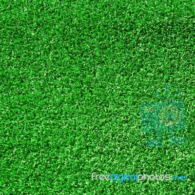 Green Grass Stock Photo
