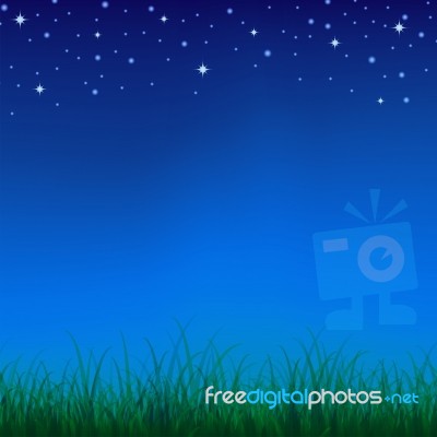 Green Grass Background Stock Image