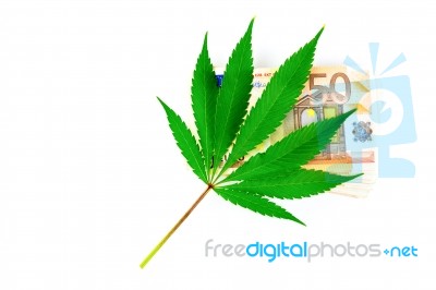 Green Hemp Leaf On Euro Money Stock Photo