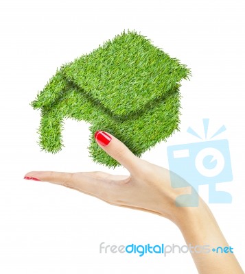 Green House In Hand Stock Photo