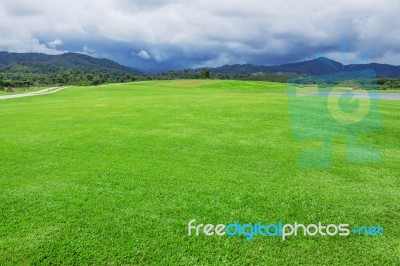 Green Lawn On Hill Stock Photo