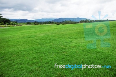 Green Lawn With Sky Stock Photo
