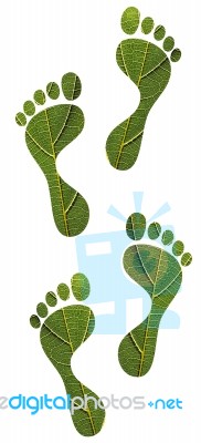 Green Leaf Human Footprints Stock Photo