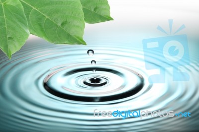 Green Leaves And Blue Water Drops Stock Photo