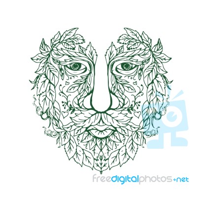 Green Man Head Front Mandala Stock Image