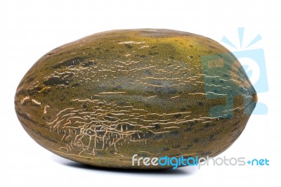 Green Melon  (piel De Sapo) Isolated On A White Background Stock Photo