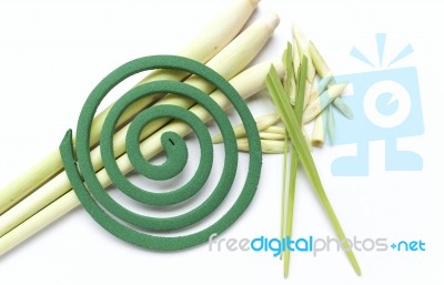 Green Mosquito Coil On Fresh Lemongrass Stock Photo