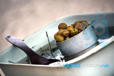 Green Olives Stock Photo