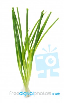 Green Onion Isolated On The White Background Stock Photo