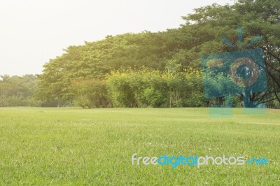 Green Park Scenery Stock Photo