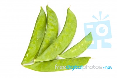 Green Pea Stock Photo