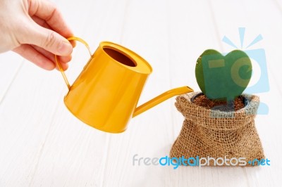 Green Plant In Pot With Hand Watering Stock Photo