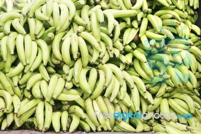 Green Plantains Bananas Stock Photo