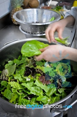 Green Salad Stock Photo