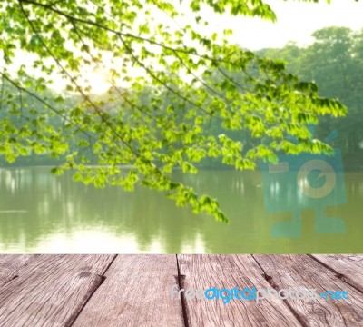 Green Spring Background Stock Photo