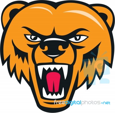 Grizzly Bear Angry Head Cartoon Stock Image