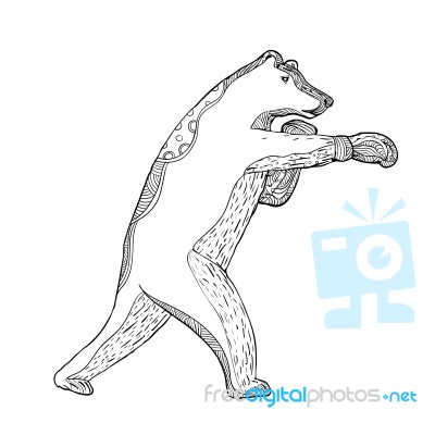 Grizzly Bear Boxing Doodle Art Stock Image