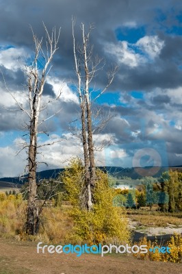 Gros Ventre River Stock Photo