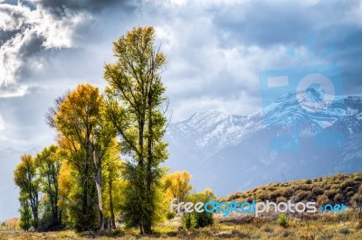 Gros Ventre River Valley Stock Photo