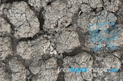 Ground Parched By Drought Stock Photo