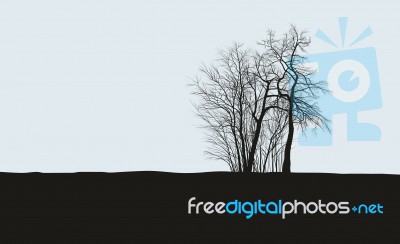 Group Of Acacias On The Horizon Stock Image