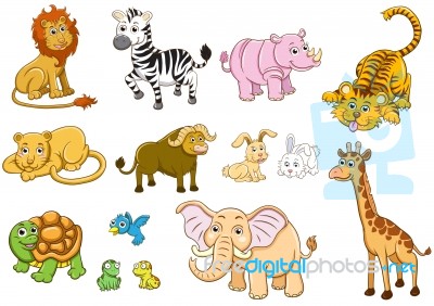 Group Of Animal Stock Image