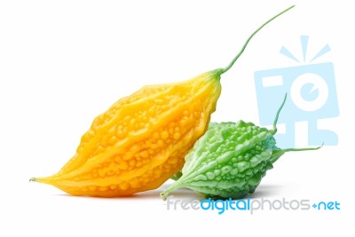 Group Of Balsam Apple Stock Photo