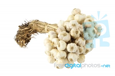 Group Of Dry Garlic With Pole Focus At Head On White Background Stock Photo