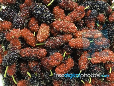 Group Of Mulberry Fruit In Top Close Up View Stock Photo
