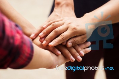 Group Of People Put Their Hands Together  Stock Photo
