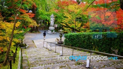 Guanyin Statue And Autumn Garden At Eikando, Kyoto Stock Photo