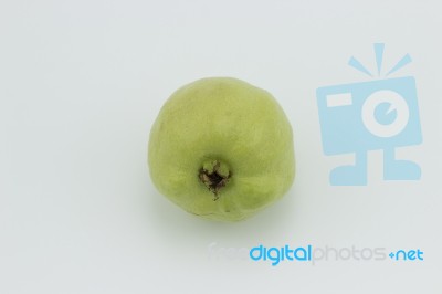 Guava Stock Photo