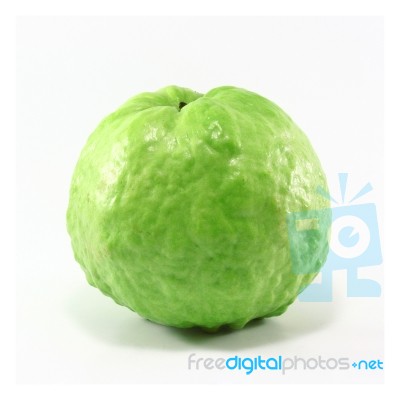 Guava Stock Photo